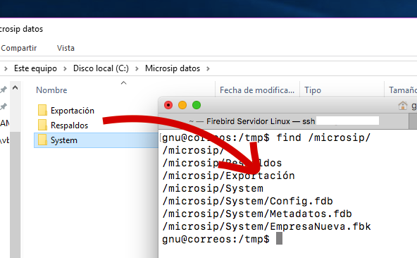microsip en linux